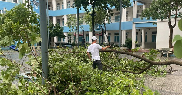 Bộ GDĐT chỉ đạo hỗ trợ sách giáo khoa, đồ dùng học tập cho học sinh bị ảnh hưởng bởi bão số 3 (Yagi)