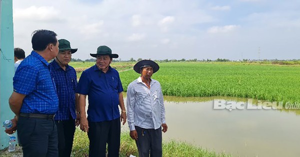 Đây là kiểu nuôi một loại con, trồng một loại cây chung môt ruộng ở Bạc Liêu, nhà nào làm đều thu nhập tốt