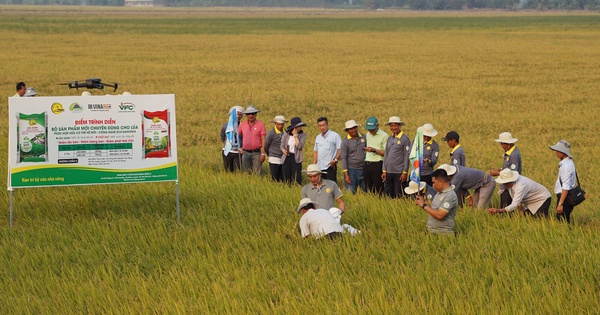 Nhu cầu phân bón tăng cao, có doanh nghiệp sản xuất không kịp bán